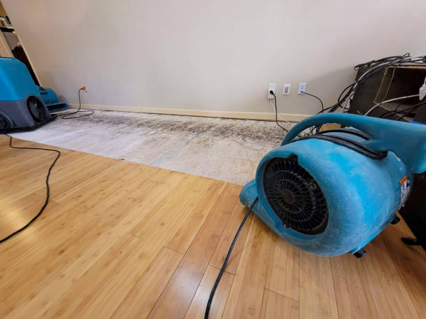 Professional Water Removal technician working in Webster, FL